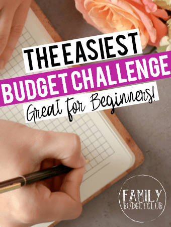 Simplest Budget Challenge Great for Beginners